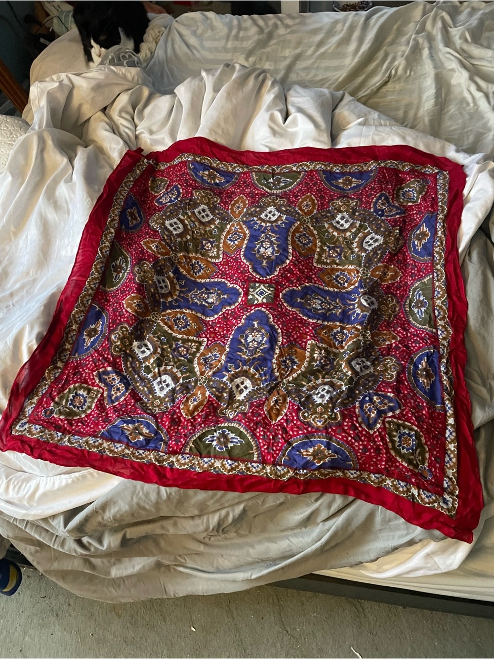 Morgan Taylor Red and blue Paisley Medallion Decorative Accent Scarf